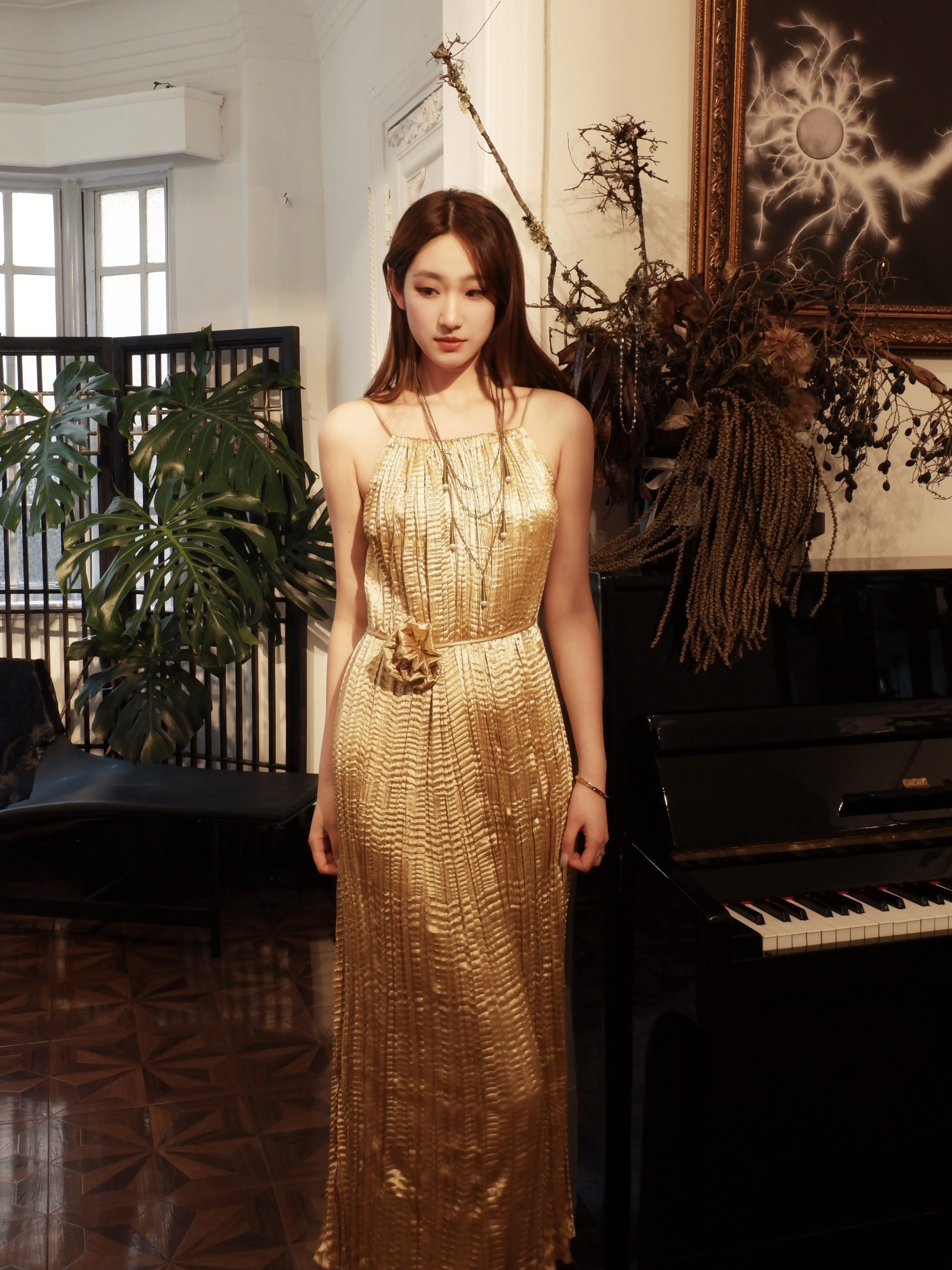 Gilded echo pleated dress