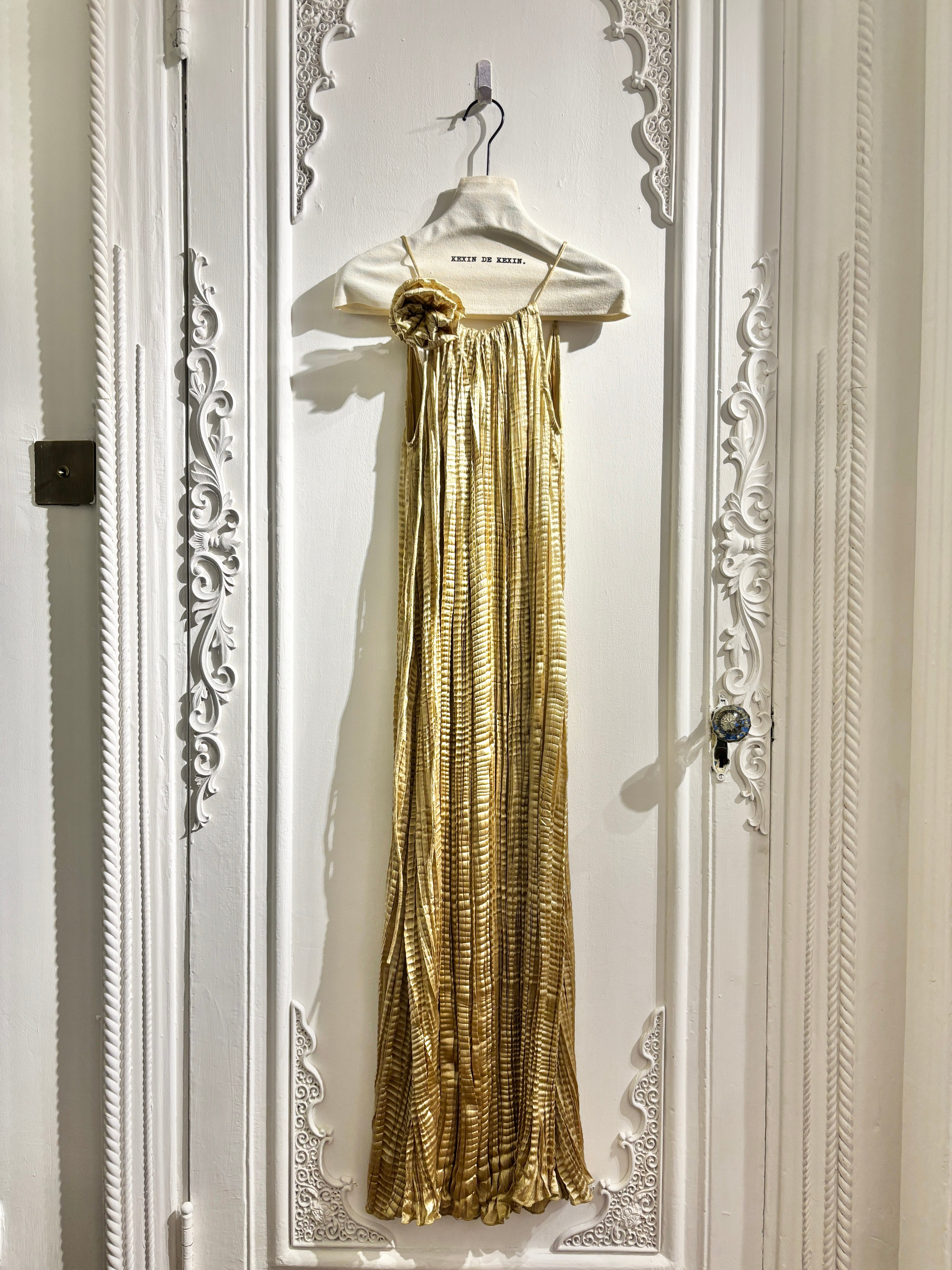 Gilded echo pleated dress