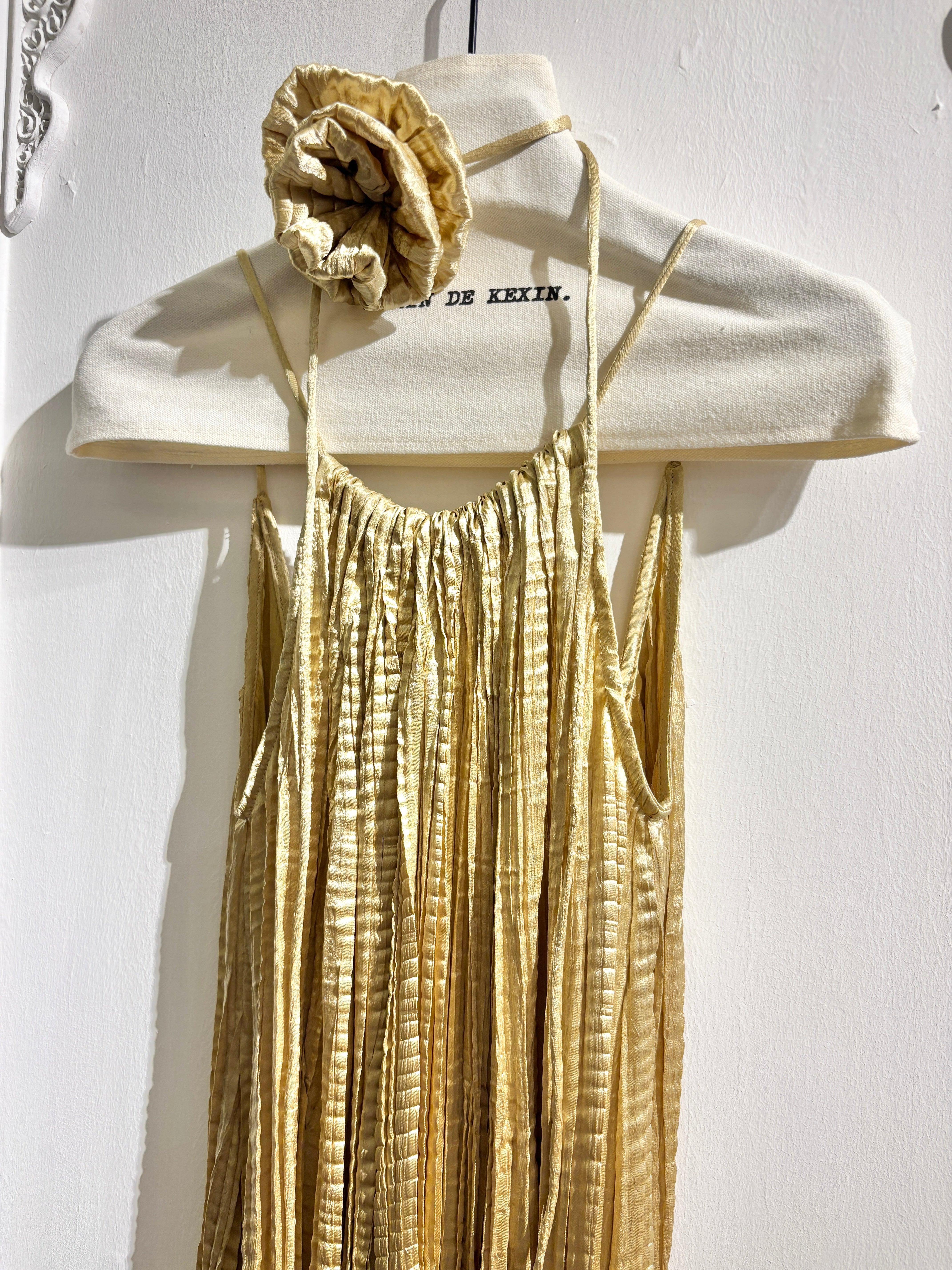 Gilded echo pleated dress
