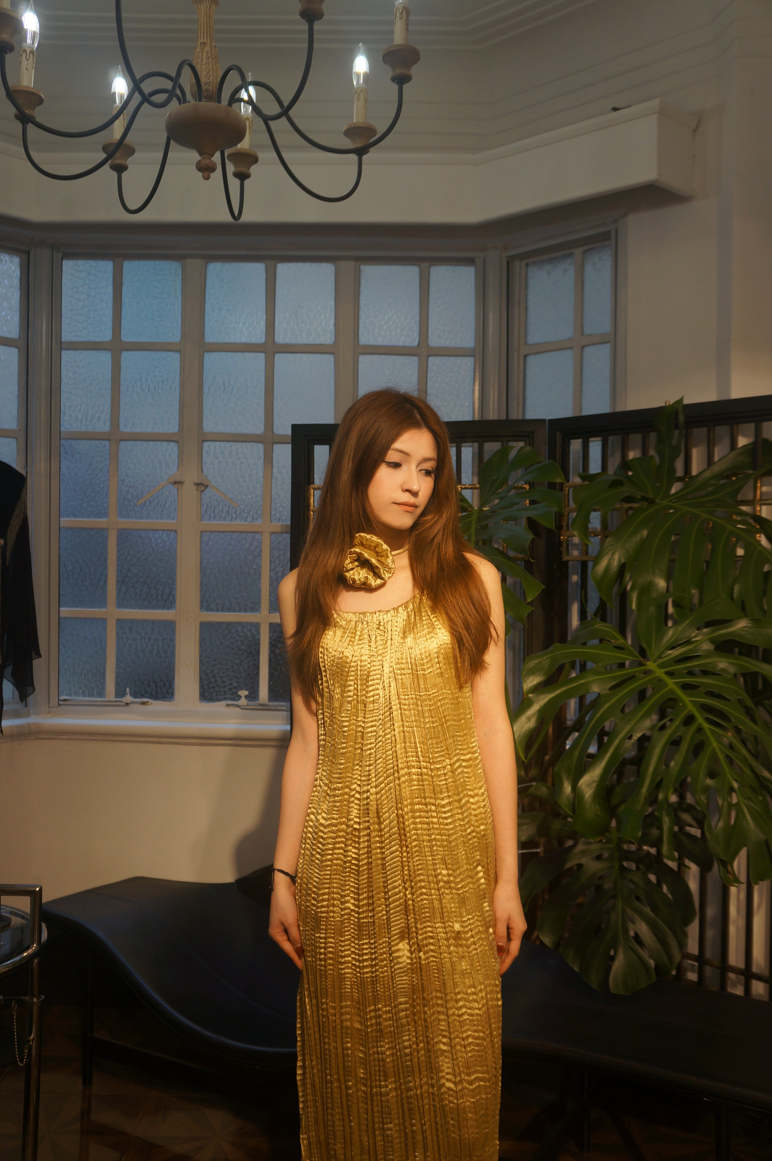 Gilded echo pleated dress