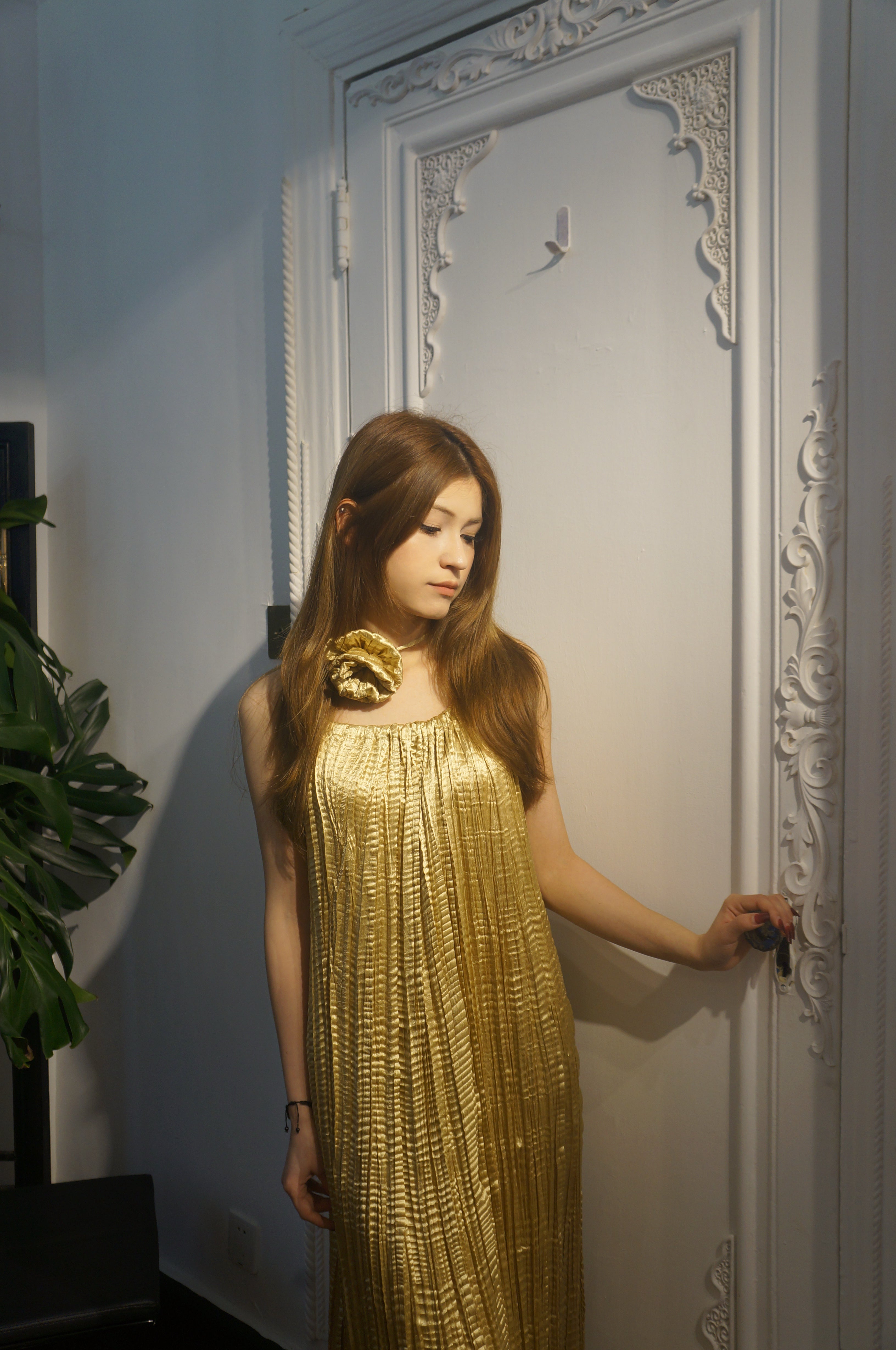 Gilded echo pleated dress